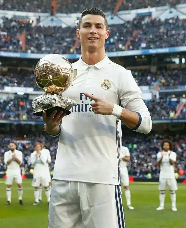向的组合拳 向的组合拳